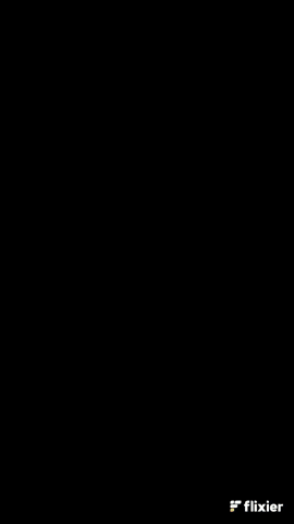 GIF Animado