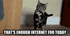 Cat Internet GIF