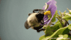 GIF by KQEDScience