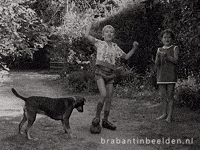 Soccer Celebrating GIF by BrabantinBeelden