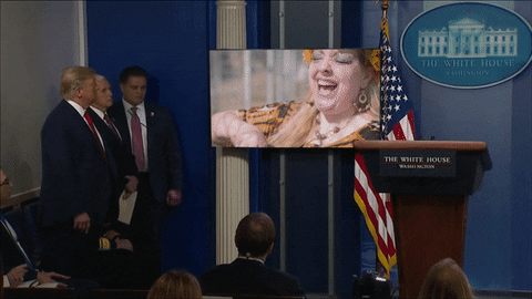 williamrennekamp giphyupload GIF