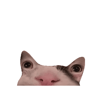 Cat Grin Sticker by erichamlet