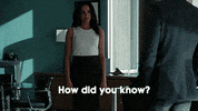 rachel zane usa GIF by Suits