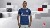 Posing Line Up GIF by Bundesliga
