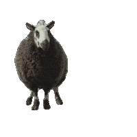 Detective Sticker by The Sheep Detectives