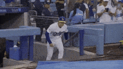 Los Angeles Dodgers Sport GIF by MLB