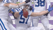 Indianapolis Colts Football GIF by NFL