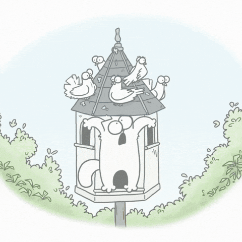 Fly Lol GIF by Simon's Cat