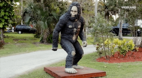 viceland GIF by Dead Set on Life