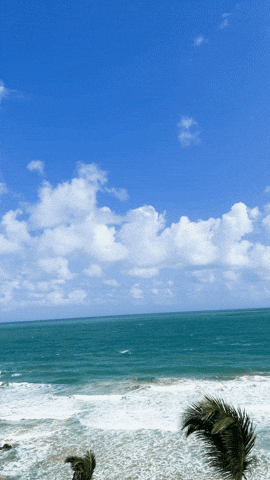 Puerto Rico Summer GIF