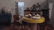 sub pop dollhouse GIF by Sub Pop Records