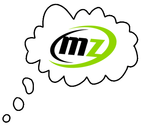 Meetthezone Sticker by mzstore