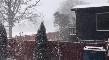 Heavy Snow and Frigid Temperatures Hit Montana
