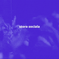 Stora Sociala Företagsdagen GIF by Coompanion Göteborgsregionen