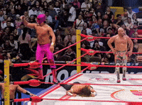Lucha Libre Wrestling GIF