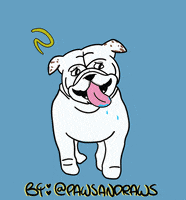 English Bulldog Dog GIF