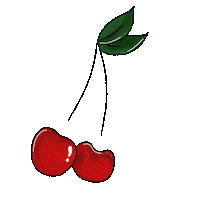 Fruit Cherry Sticker
