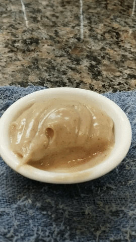 cahoots___ giphygifmaker GIF