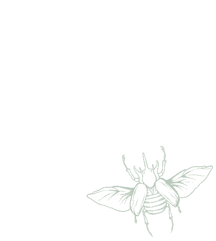 Caspisanti giphyupload scarab caspisanti Sticker