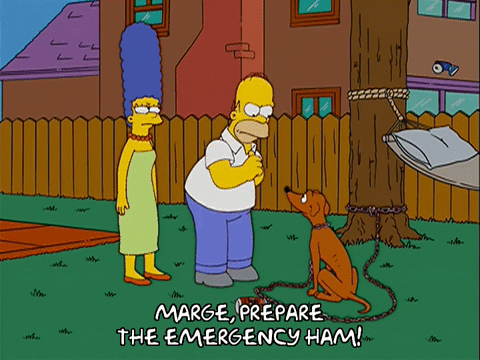homer simpson GIF