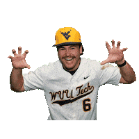 Baseball Sticker by WVU Tech Golden Bears