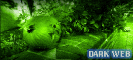 Paul Scheer GIF by Dark Web