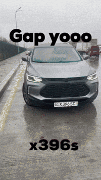 X396S GIF