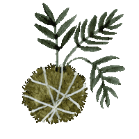 Home Plant Sticker