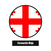 Flag Bandera Sticker by Formación Ninja