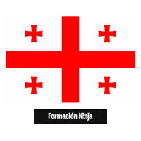 Flag Bandera Sticker by Formación Ninja