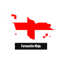 Flag Bandera Sticker by Formación Ninja