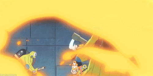 one piece fight GIF