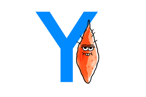 Alphabet Y GIF by Salad for President