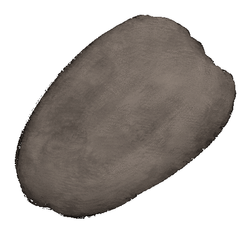 Shape Moving Sticker