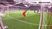 bundesliga defense GIF by 1. FC Köln