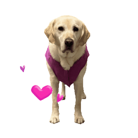 Casey Sticker by OHSU