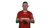 Fifa Looking Sticker by Bundesliga