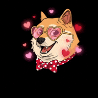 Happy In Love GIF by Doge Pound