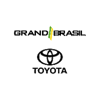 Car Racing Sticker by Grand Brasil