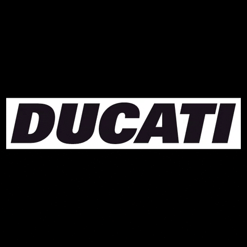 Ducati GIF - Find & Share on GIPHY