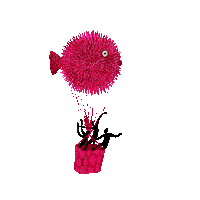 Oranjebloesem koningsdag koningsdag2020 oranjebloesem oranjebloesem2020 Sticker