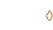 Animation Arrow Sticker by youmotion.com