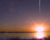andrea-chapo glitch vhs sunset video synth GIF