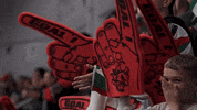 Ice Hockey GIF by Cardiff Devils