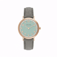 aristocrazy  GIF
