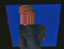Wildflower GIF by 5 Seconds of Summer