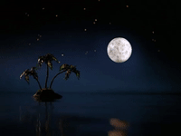 season 3 GIF by SpongeBob SquarePants