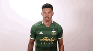 portland timbers wink GIF by Timbers