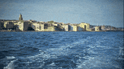 France Fun GIF by Casol