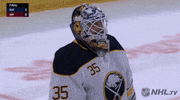 happy ice hockey GIF by NHL